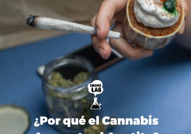 ¿Cómo el Cannabis Aumenta el Apetito